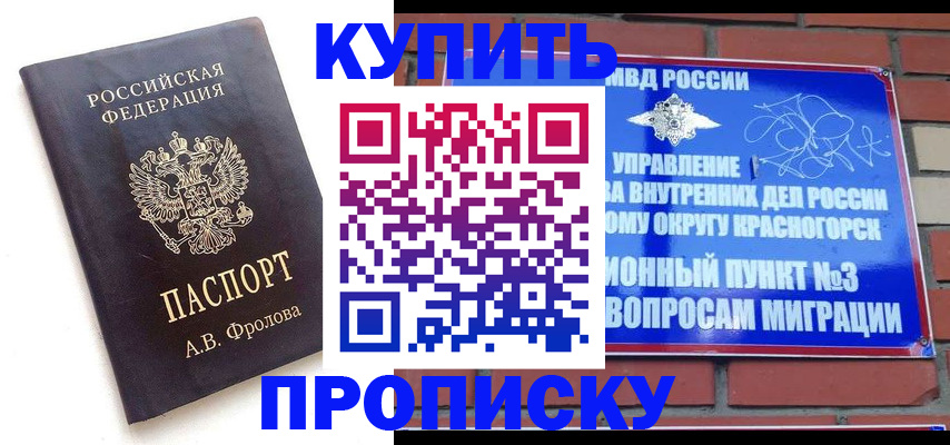 прописка поиск в Чечне